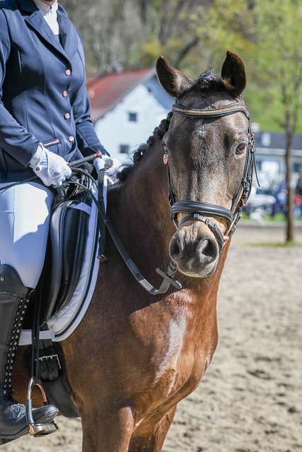 他逐步展示 他逐步展示