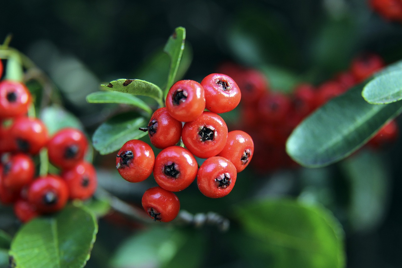 策为那些面 策为那些面