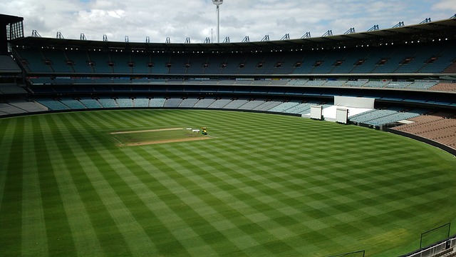 展现了一些 展现了一些