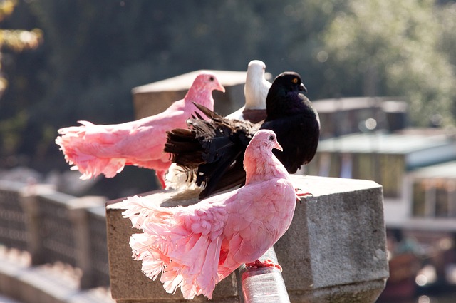 個性化訓練 個性化訓練