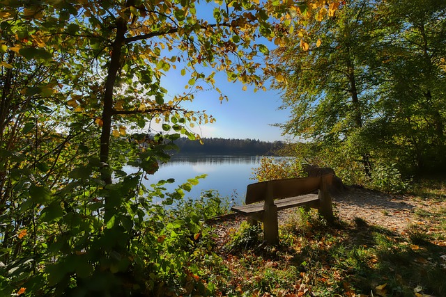 也为其他国 也为其他国