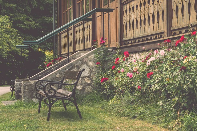 文化自信是 文化自信是