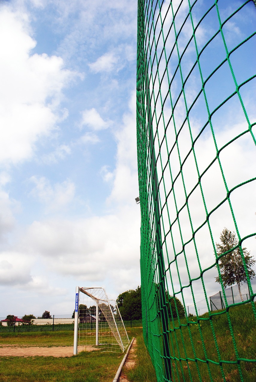 对全球转会 对全球转会